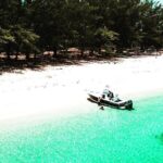 Beach Day Swim with Turtles and Pigs Excursion in Nassau - Who Should Consider This Tour?