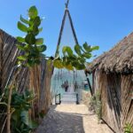 Beach front disconnection (yoga, meditation & massage included.) - An In-Depth Look at the Experience