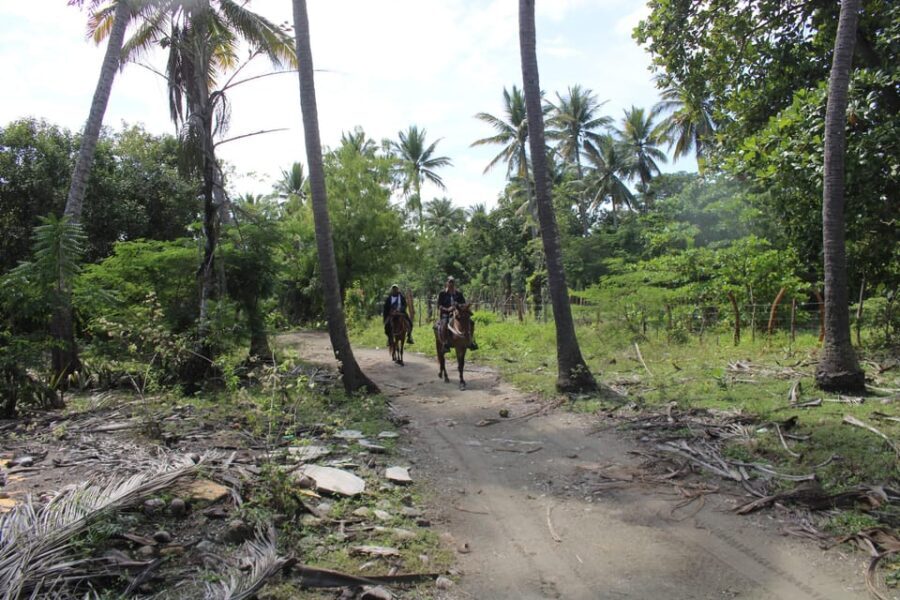 Beach horse back riding with countryside - Final Thoughts on Value and Suitability