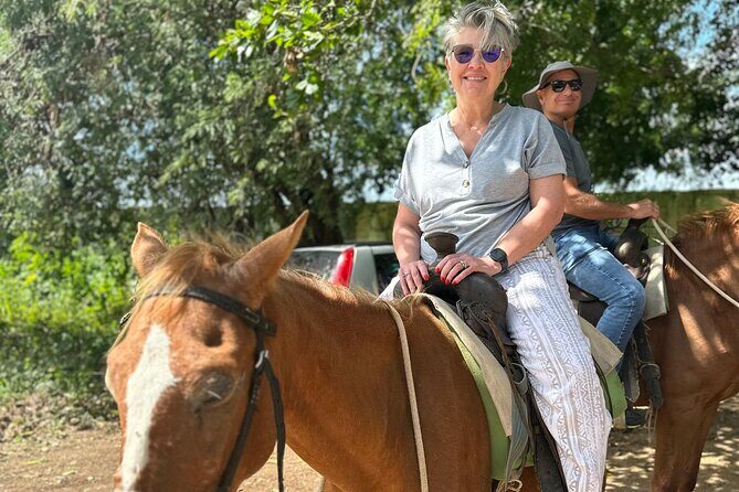 Beach Horseback Riding Adventure in Punta Cana - Learning About Culture and Wildlife