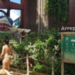 Beach Park Transfer from Fortaleza - Final Thoughts: Is This Tour Worth It?