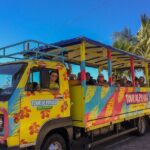 Beach Safari - panoramic beach tour - A Deep Dive into the Beach Safari Experience