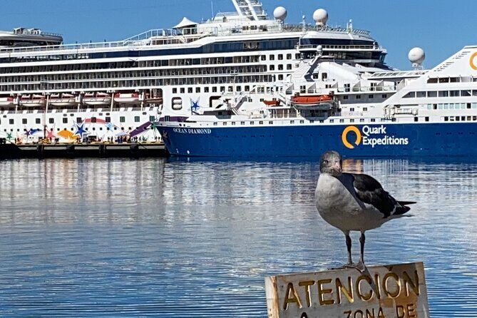 Beagle Channel Boat Navigation from Ushuaia - What Makes This Tour Stand Out
