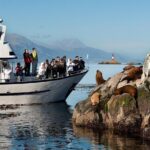 Beagle Channel Navigation with Minitrekking - The Experience of the Guides and Group