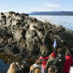 Beagle Channel Yacht Sailing Tour from Ushuaia - The Bottom Line