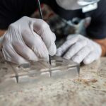 Bean to Bar: Cocoa and Chocolate Workshop - An In-Depth Look at the Chocolate Workshop