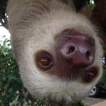 Beautiful Panama City BioTour - FAQ