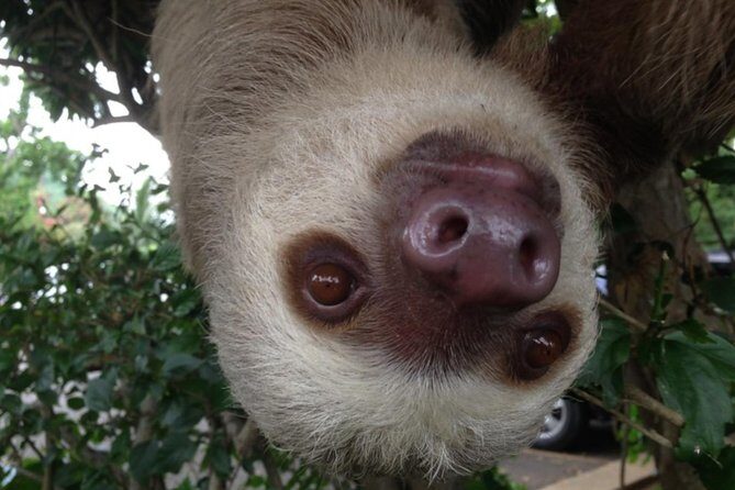 Beautiful Panama City BioTour - FAQ