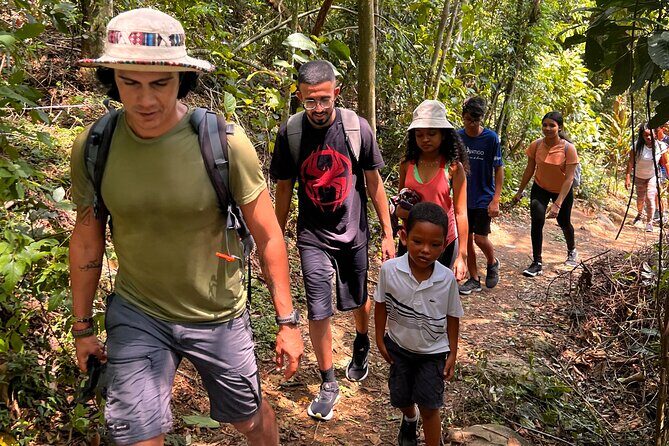 Beautiful Stone Walk and Flight Rampa, in the Tijuca Forest - In The Sum Up