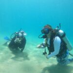 Beginner Scuba Diving Guided Tour - No Experience Required - Why This Tour Stands Out