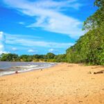 Belém: Ilha do Mosqueiro River Beach Trip - Who Will Love This Tour?