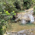 Benta River & Falls Private Tour From Montego Bay/Negril - What to Expect During the Tour
