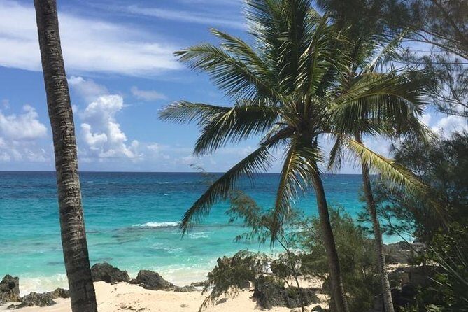 Bermuda Beach Hop Experience - Who Would Love This Tour?