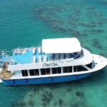 Bermuda Glass Bottom Boat Cruise - Final Thoughts