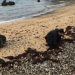 Bermuda Island Tour - Deep Dive into the Itinerary