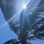 Bermudaful Island Tour - Final Thoughts