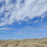 Berthas Beach and Stanley Private Tour - Transportation, Timing, and Group Size