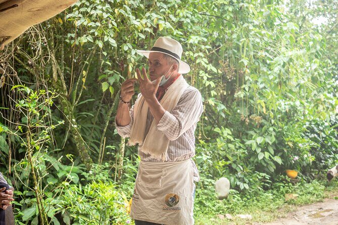 Best Coffee Tour from Medellin with Lunch and Transportation - Practical Details and Value