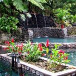 Best EcoTermales Hot Springs Experience - An In-Depth Review of the EcoTermales Hot Springs Experience