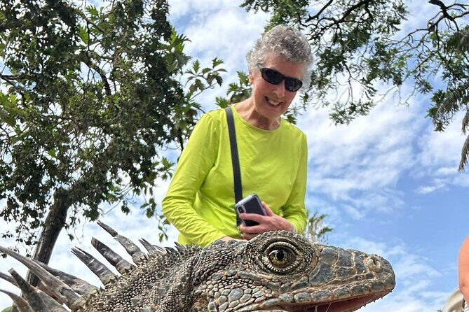 Best Highlights in Guayaquil - Who Will Appreciate This Tour Most?