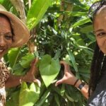 Best Jeep Tour of ST.Thomas Virgin Islands - Who Should Book This Tour?