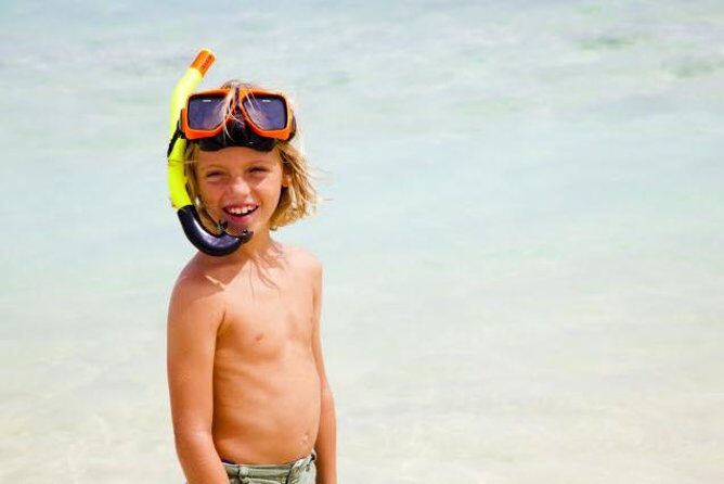 Best of Aruba by Bus - Who Will Enjoy This Tour?