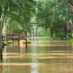 Best of Delta Buenos Aires Private Boat Tour: Enjoy More - FAQs