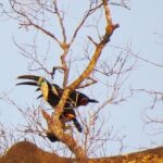 Best of Ecuador's Mainland in 14 Days - What the Tour Means for You