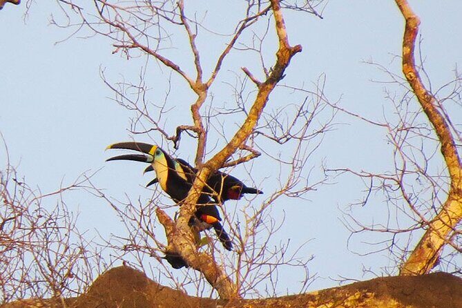 Best of Ecuador's Mainland in 14 Days - What the Tour Means for You