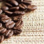 Best of roatan by land and sea - FAQ