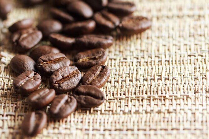 Best of roatan by land and sea - FAQ