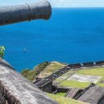 Best of St. Kitts Highlight Tour. - What to Expect in Terms of Experience and Comfort