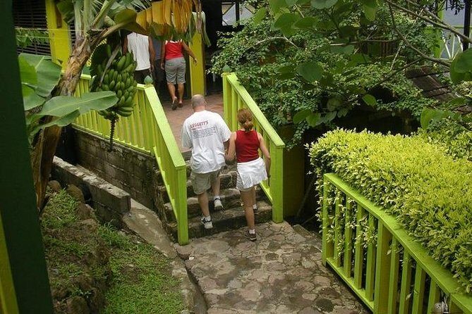 Best Soufiere Round the Island Tour - Who Will Enjoy This Tour?