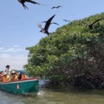 Bewitching Islands and Mangroves in Puerto Pizarro, Tumbes - Exploring Puerto Pizarro: A Day in Nature and Culture