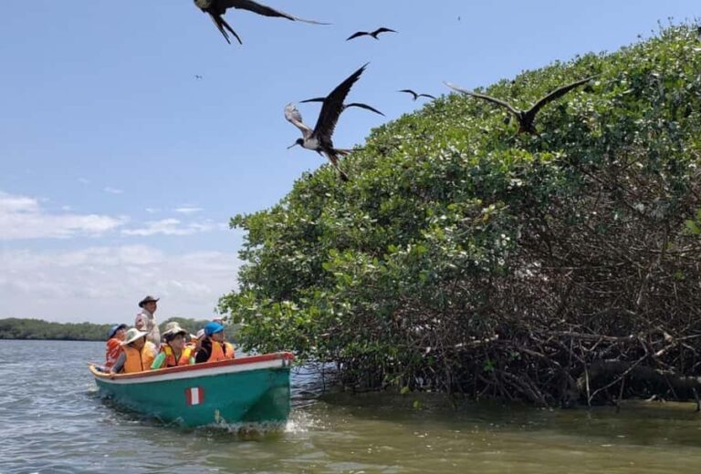 Bewitching Islands and Mangroves in Puerto Pizarro, Tumbes - Exploring Puerto Pizarro: A Day in Nature and Culture