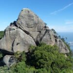Bico do Papagaio Guided Hiking Tour in the Tijuca Forest - Why This Tour Is a Great Value
