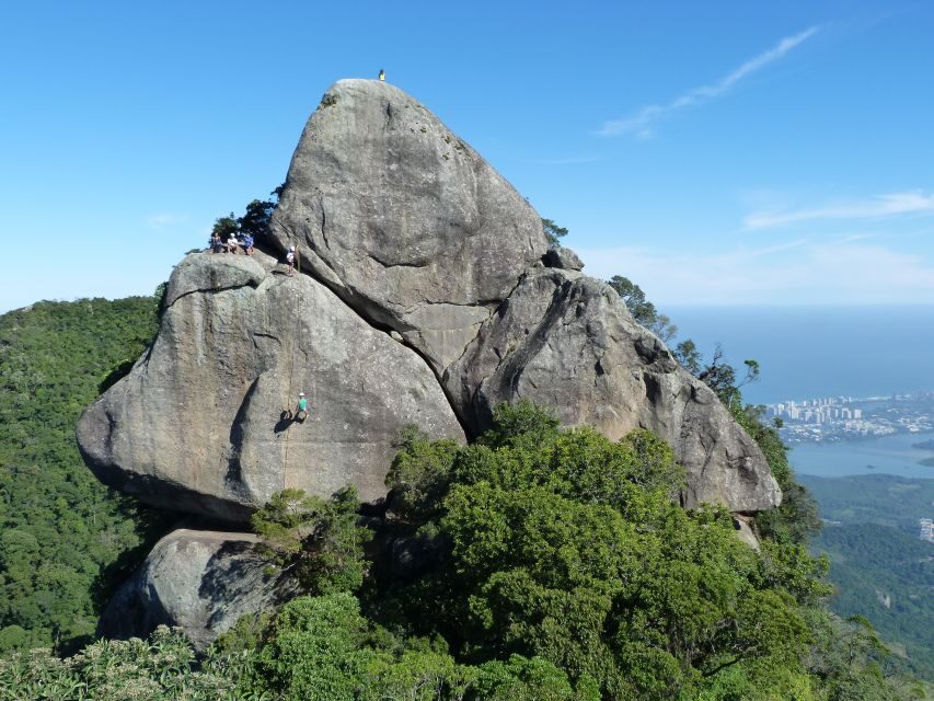 Bico do Papagaio Guided Hiking Tour in the Tijuca Forest - Why This Tour Is a Great Value
