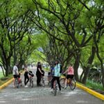 Bike Tour: Buenos Aires to the South - Final Thoughts