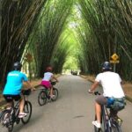 Bike Tour: The Coolest Urban Scenes of Sao Paulo - Who Will Love This Tour?