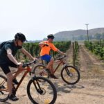 Bike & Wine Adventure in the Andes Mountains Pedal and Tast - Exploring the Maipo Valley by Bicycle