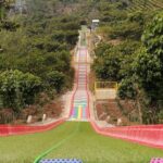 Bike Zipline, Cafe Albania Rainbow Slide and Wings Swing - Who Should Consider This Tour?