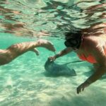 Bimini: 4-Stop Snorkeling Adventure - The Sum Up