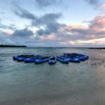 Bio Bay Kayak Tour in Fajardo - A Deep Dive into the Experience