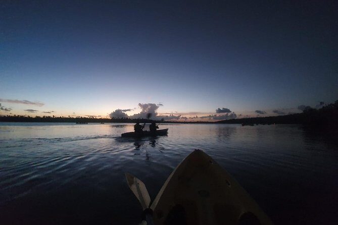 Bio Bay Night Kayak Tour with Transport from San Juan
