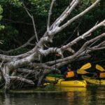 Bio Bay Night Kayaking | Laguna Grande, Fajardo - FAQ