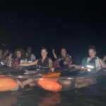 Biobay Vieques Tour Kayak Night Tour - The Itinerary: What You Can Expect
