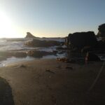 Biobío River Estuary and Rocoto Beach - Who Will Love This Tour?