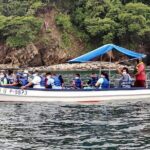 Bioluminescence Experience from Curú Wildlife Refuge - FAQ