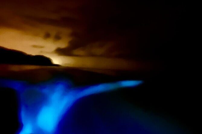 Bioluminescence Tour by Boat - Analyzing the Value