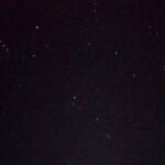 Bioluminescence Tour & Sunset River Cruise - What Travelers Love About This Experience